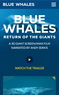Blue Whales Film, phone