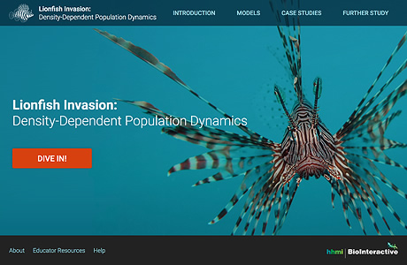 Thumbnail of Lionfish Invasion: Density-Dependent Population Dynamics website. Click to launch the website in new window.
