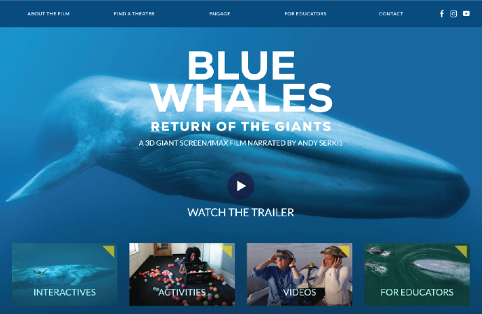 Blue Whales Film, desktop