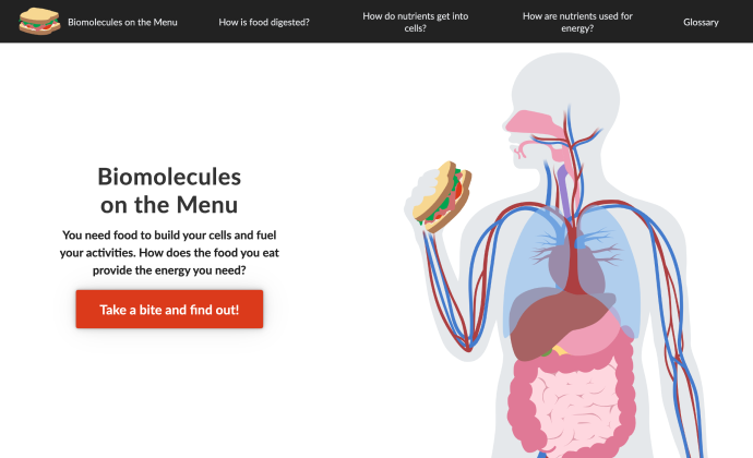 Biomolecules on the Menu, desktop