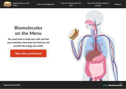 Thumbnail of Biomolecules on the Menu website. Click to launch the website in new window.