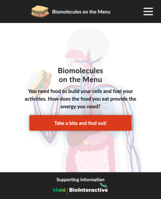 Biomolecules on the Menu, tablet