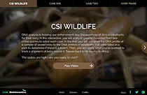 Thumbnail of CSI Wildlife website. Click to launch the website in new window.