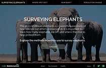 Thumbnail of Survey Methods website. Click to launch the website in new window.