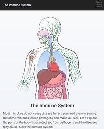 The Immune Systems, tablet