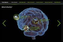 Thumbnail of The Brain website. Click to launch the website in new window.