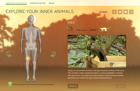 Thumbnail of Explore Your Inner Animals website. Click to launch the website in new window.