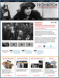 Thumbnail of Prohibition website.