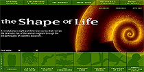 Thumbnail of The Shape of Life website.