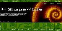 Thumbnail of The Shape of Life website.