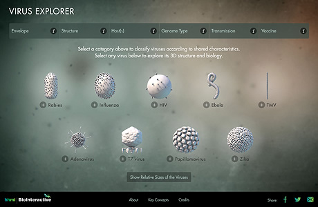 Thumbnail of Virus Explorer website. Click to launch the website in new window.